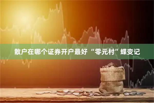 散户在哪个证券开户最好 “零元村”蝶变记